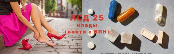 твердый Заводоуковск