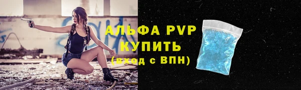 твердый Заводоуковск