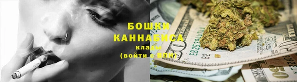твердый Заводоуковск