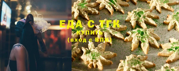 твердый Заводоуковск