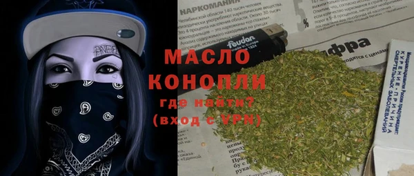 твердый Заводоуковск