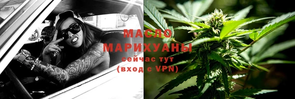 твердый Заводоуковск