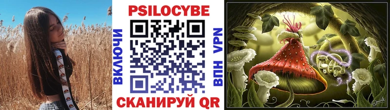 Псилоцибиновые грибы мицелий Енисейск
